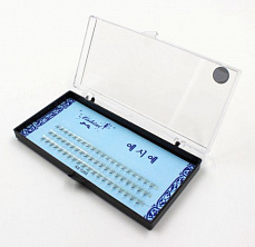 Пучки Aishini 5D 8мм