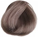 8.13 Светлый блондин (дуриан) 100мл REVERSO