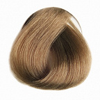 7.31 Блондин (бисквит) 100мл COLOREVO 7.31 Блондин (бисквит) 100мл COLOREVO