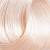 12/01 Пепельный экстра блондин 100 мл BOUTICLE Expert color