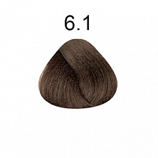 6.1 Темный пепельный блондин 100мл 360