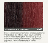6.66 темный блондин интенсивный красный 60мл 6.66 темный блондин интенсивный красный 60мл
